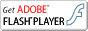 FlashPlayer�����������